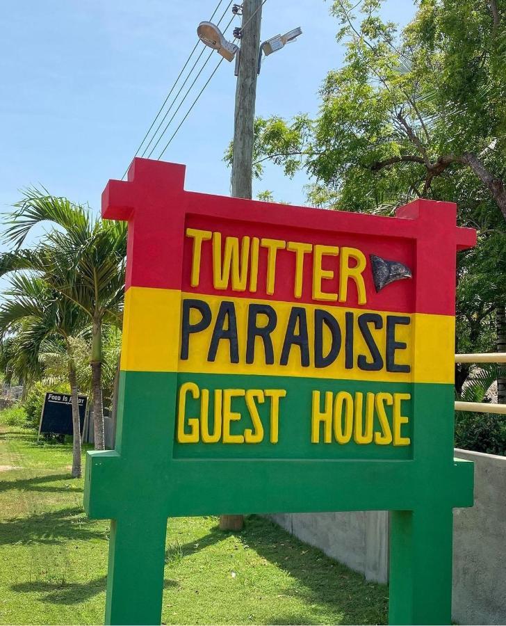 Ampeni Twitter Paradise المظهر الخارجي الصورة