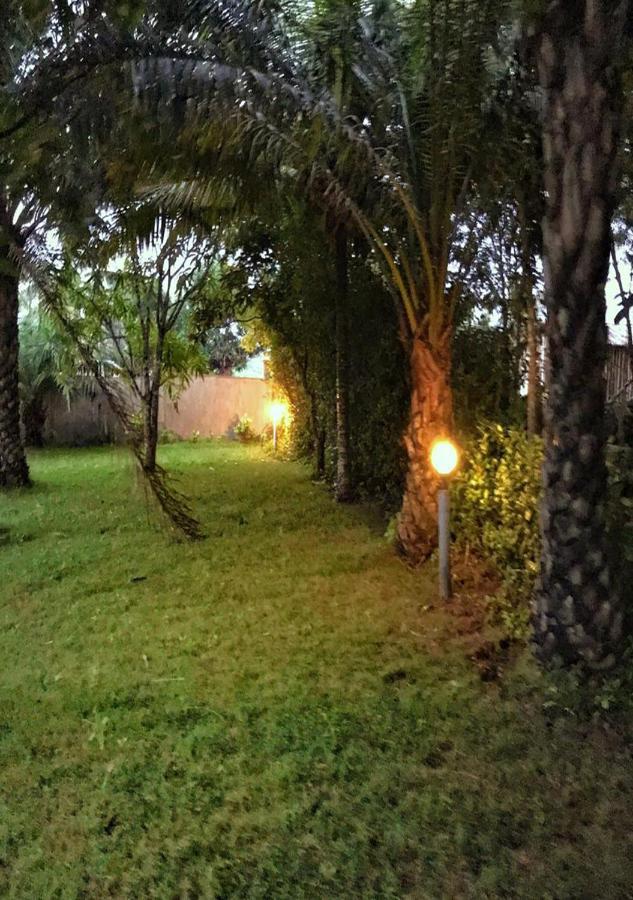 Ampeni Twitter Paradise المظهر الخارجي الصورة