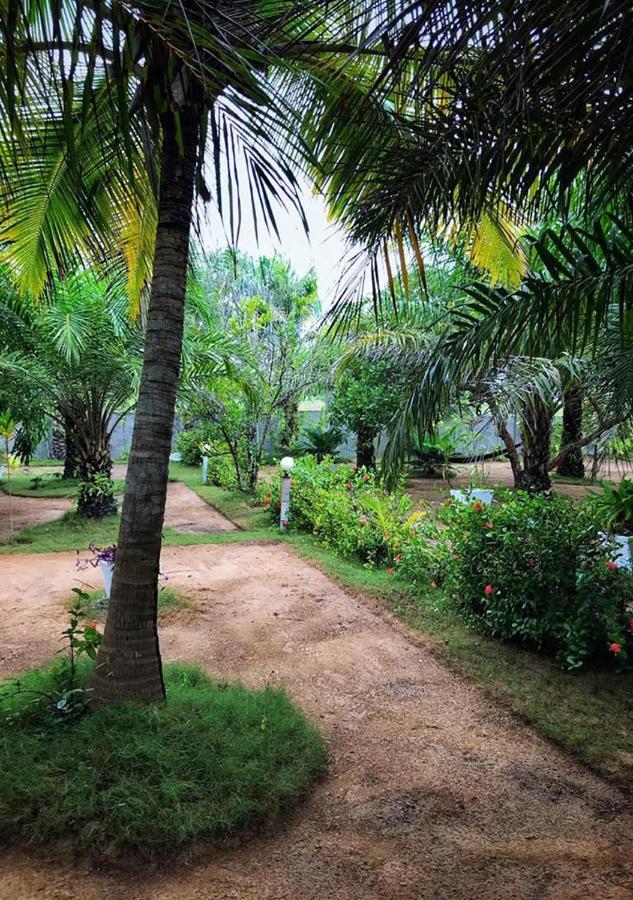 Ampeni Twitter Paradise المظهر الخارجي الصورة