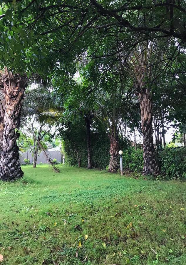 Ampeni Twitter Paradise المظهر الخارجي الصورة