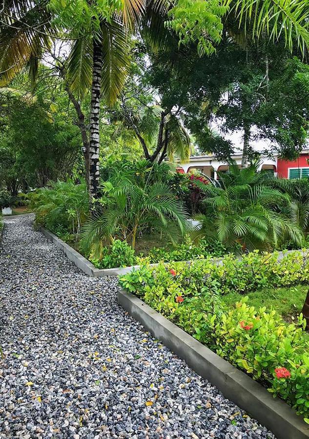 Ampeni Twitter Paradise المظهر الخارجي الصورة