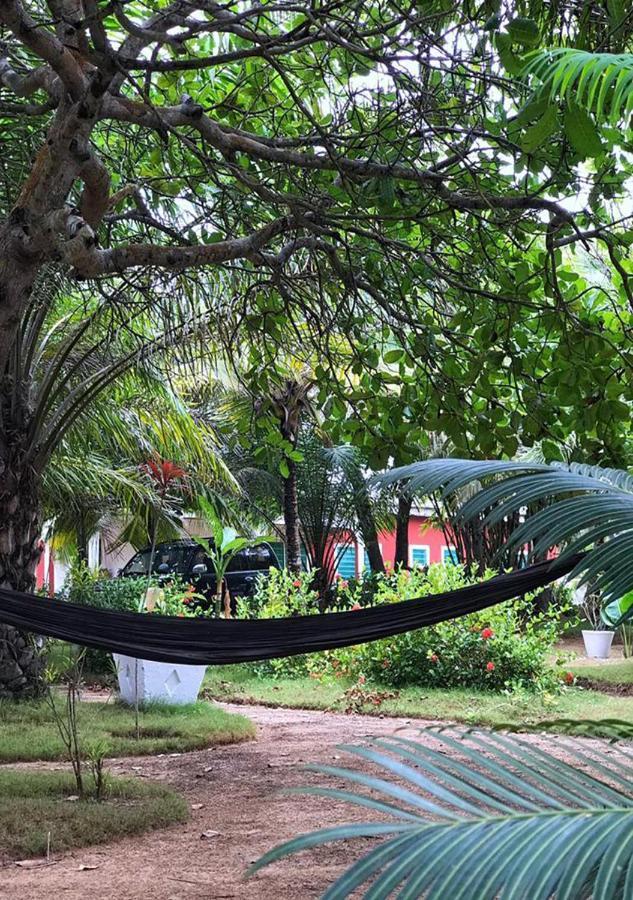 Ampeni Twitter Paradise المظهر الخارجي الصورة