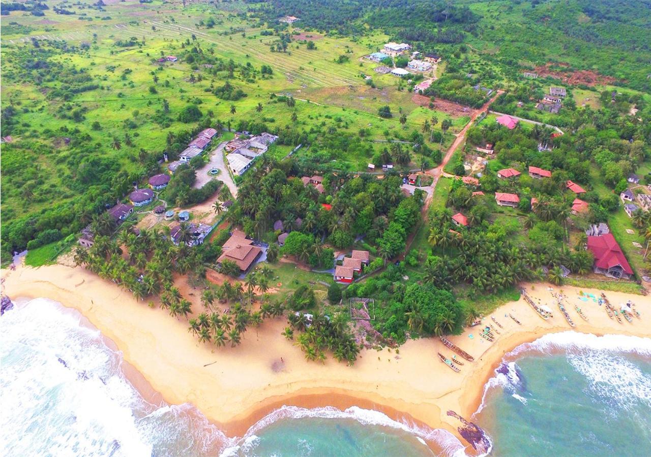 Ampeni Twitter Paradise المظهر الخارجي الصورة
