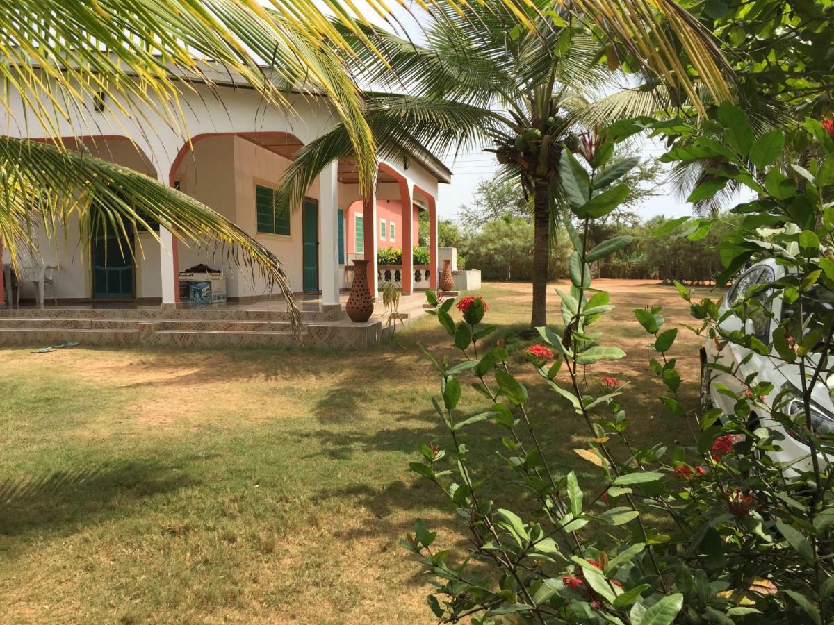 Ampeni Twitter Paradise المظهر الخارجي الصورة
