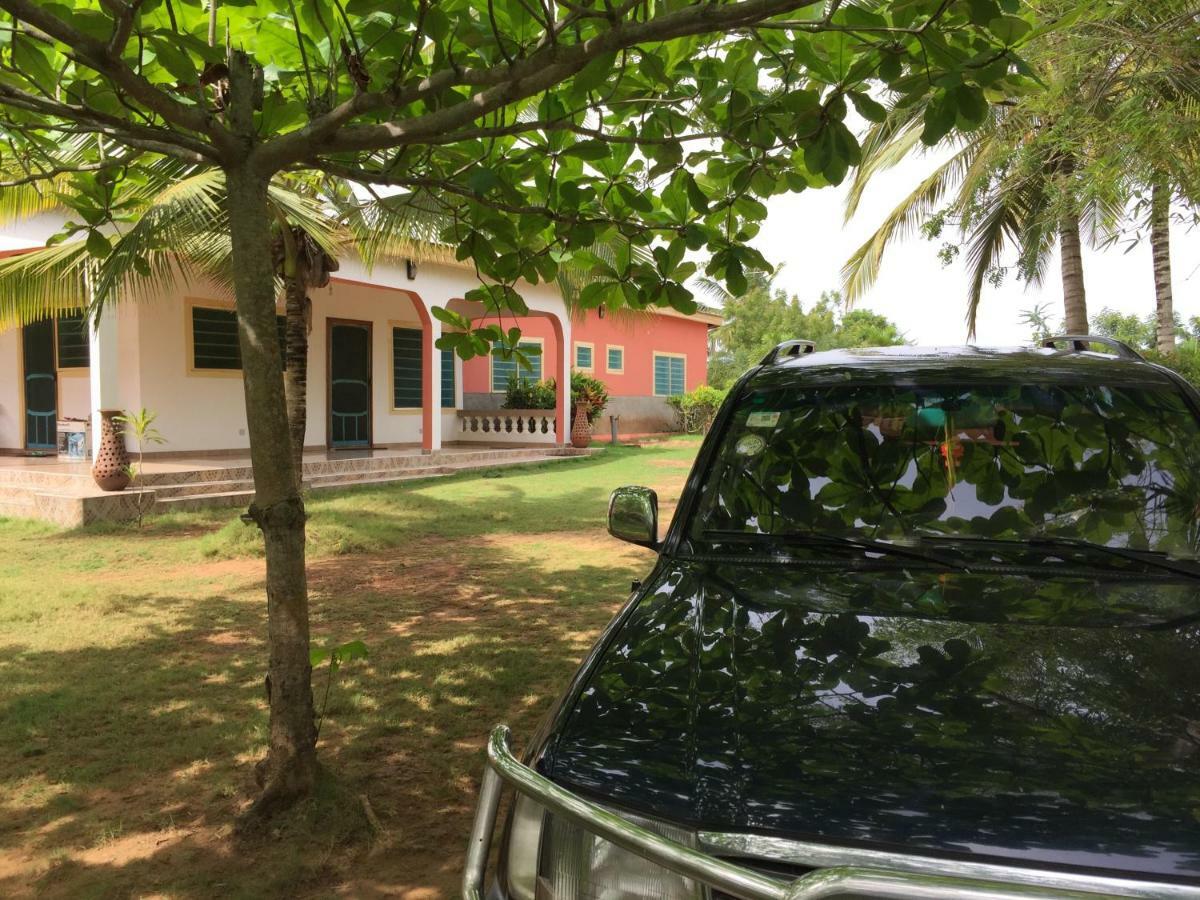 Ampeni Twitter Paradise المظهر الخارجي الصورة