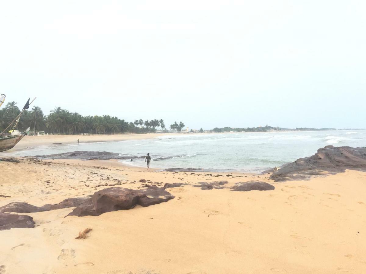 Ampeni Twitter Paradise المظهر الخارجي الصورة