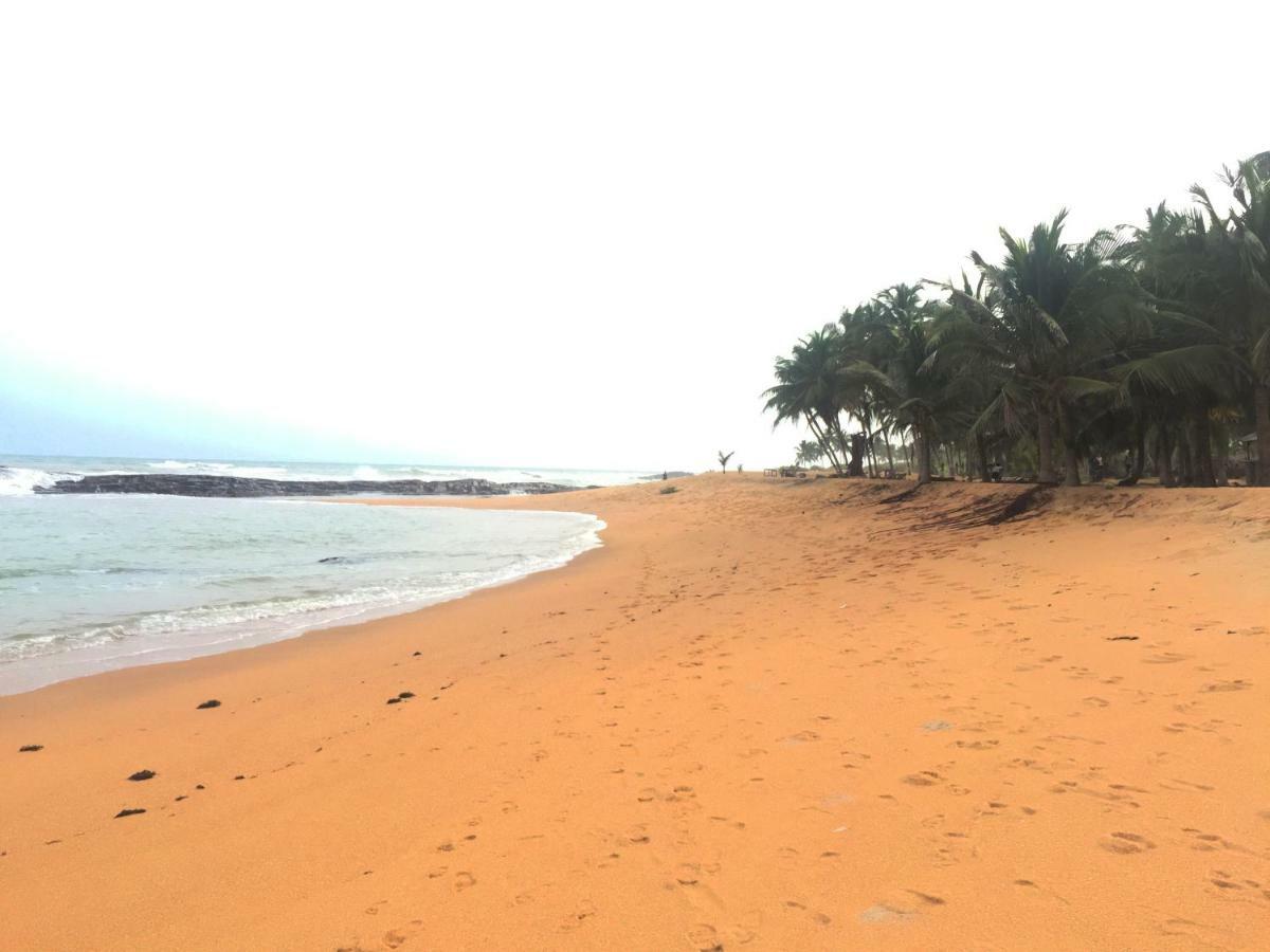 Ampeni Twitter Paradise المظهر الخارجي الصورة