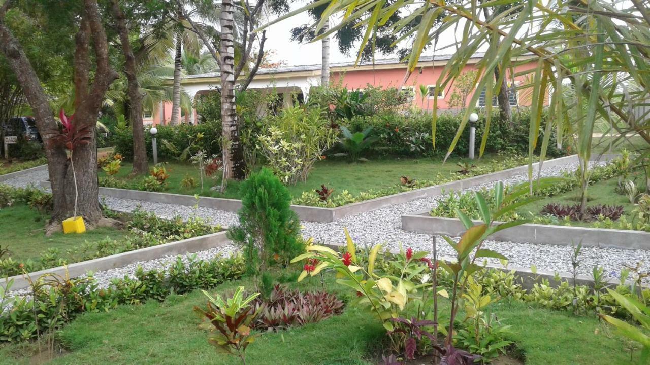 Ampeni Twitter Paradise المظهر الخارجي الصورة