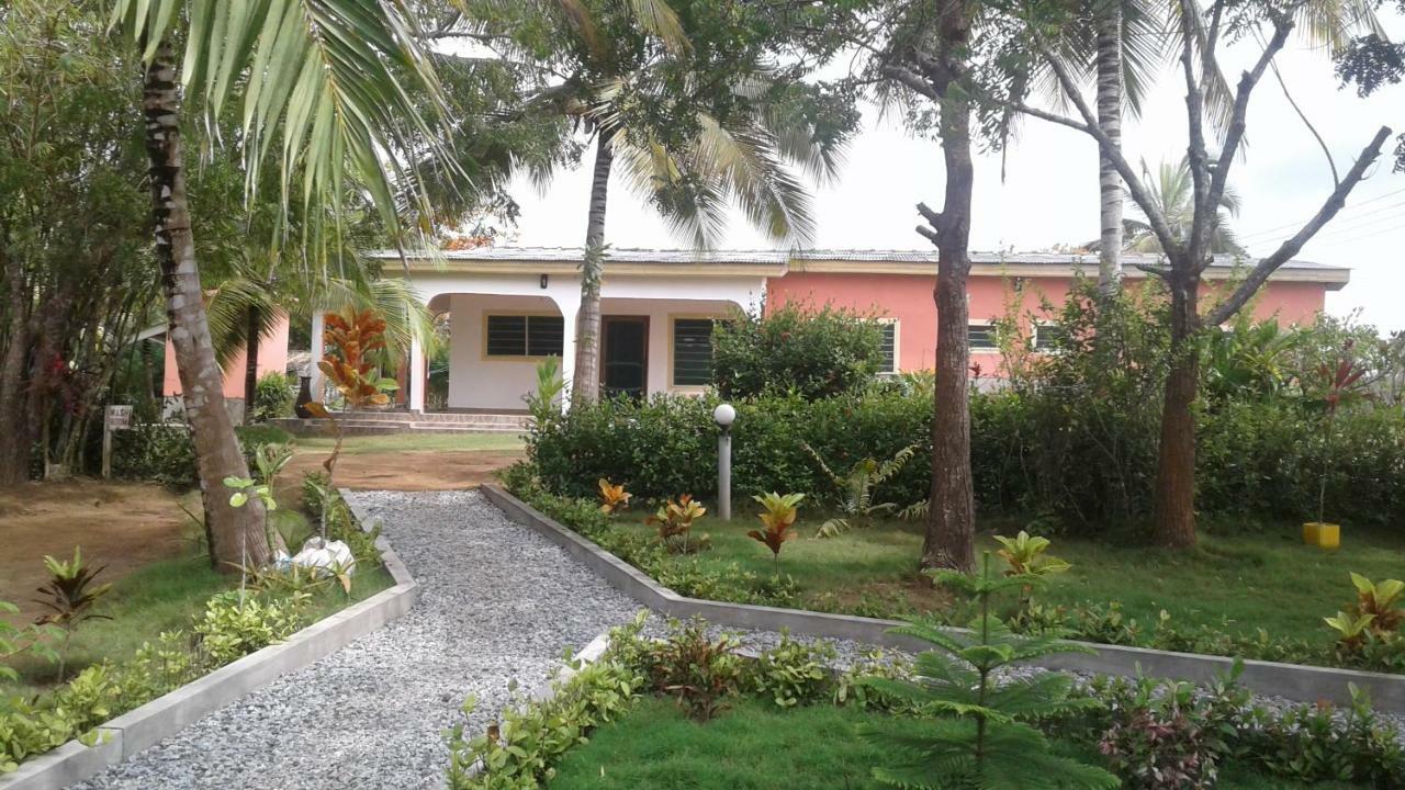 Ampeni Twitter Paradise المظهر الخارجي الصورة